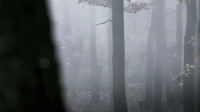 Battle of the Teutoburg Forest 9 AD - Tribal Folk Music смотреть онлайн