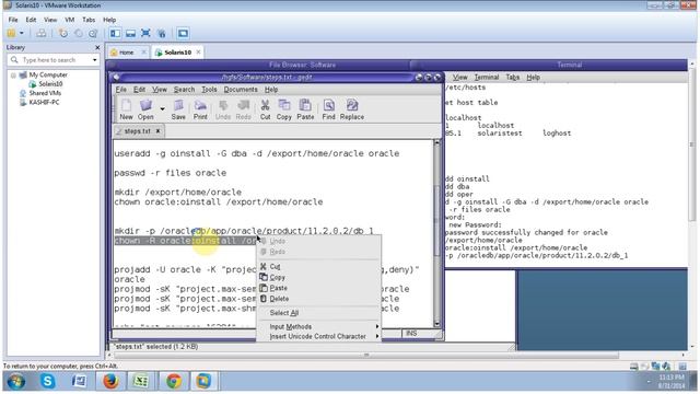 Install Solaris10 & Oracle Database 11g On VMware Part 3 смотреть онлайн