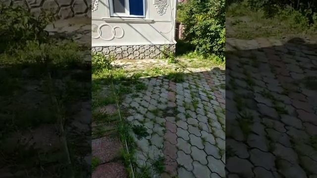 Чистка плитки насадкой для газонокосилки. Cleaning the tiles with a lawn mower. смотреть онлайн