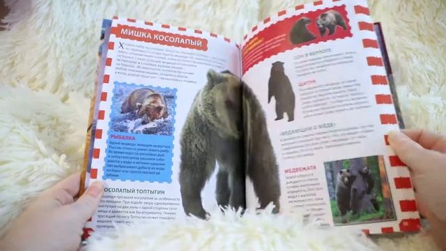 Животные России ?| Популярная детская энциклопедия | Владис смотреть онлайн