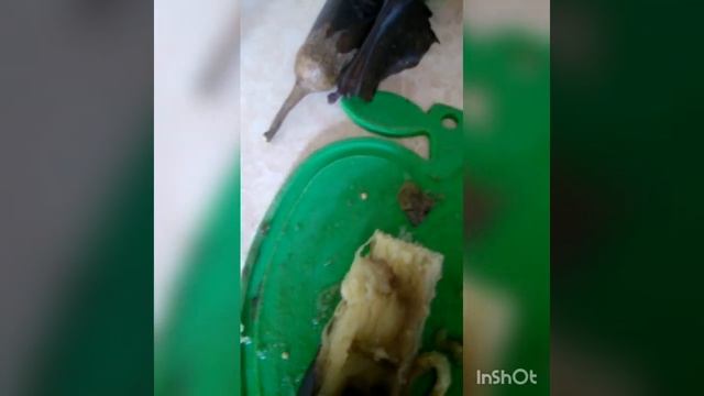 Салатик из баклажанов смотреть онлайн