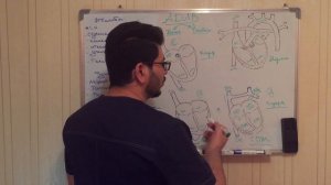 Аномальный дренаж легочных вен (АДЛВ), Anomaly pulmonary venous return (APVR)