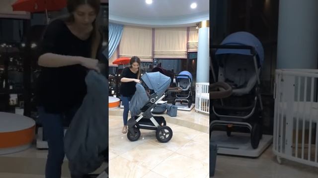 Обзор на коляску Stokke Trailz смотреть онлайн