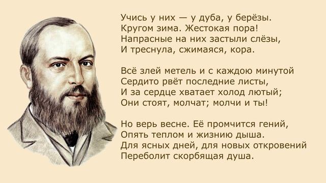 «Учись у них - у дуба, у березы» А. Фет. Анализ стихотворения смотреть онлайн