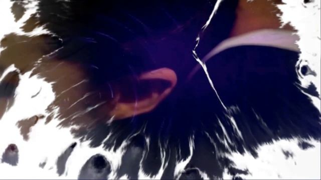 Сумерки - исполнение: Александр Денисов смотреть онлайн