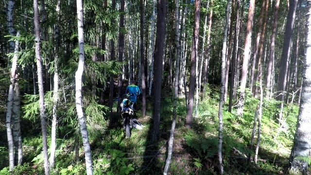 Лайтовый выезд на 235км)) ктм ехс 250, drz 400 смотреть онлайн