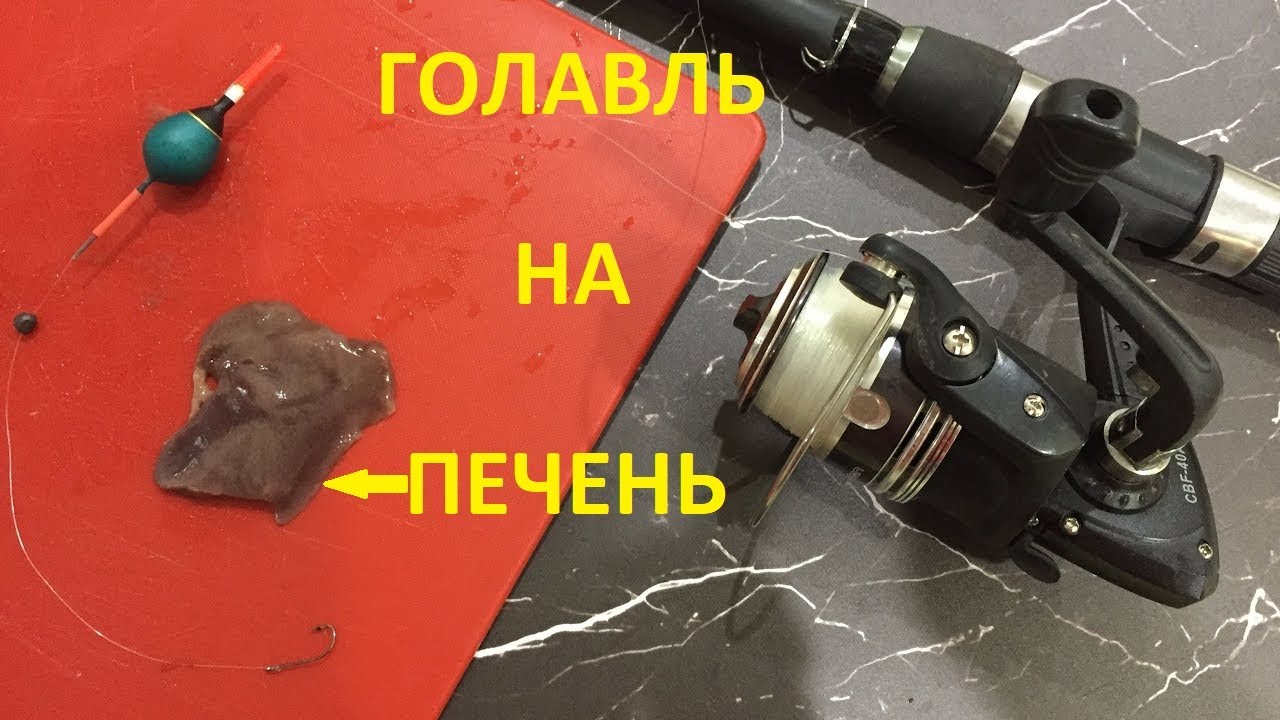 Как ловить головля на печень _ How To Catch A Chub On The Liver