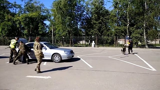 Как работают кинологи на таможне смотреть онлайн