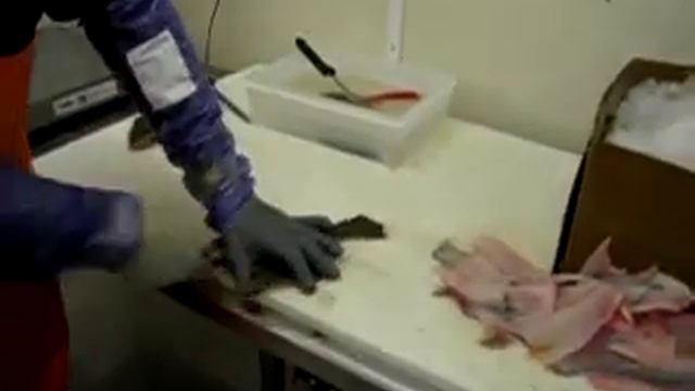 Быстрая разделка камбалы смотреть онлайн