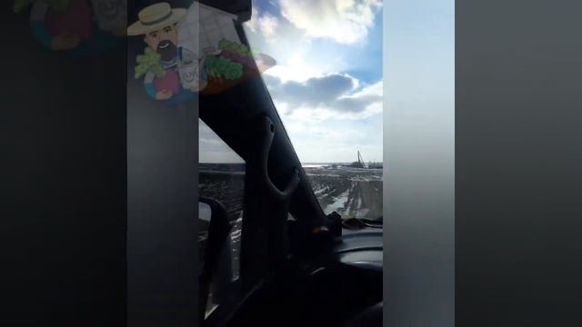 Субботний вояж! На дачу как на праздник!!!!)))) смотреть онлайн