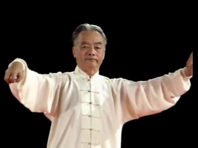 Ma Hong Chen Style Taijiquan First Frame Yi Lu