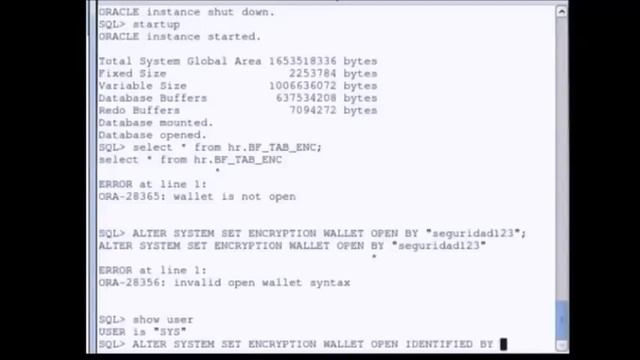 Oracle Advanced Security Option смотреть онлайн