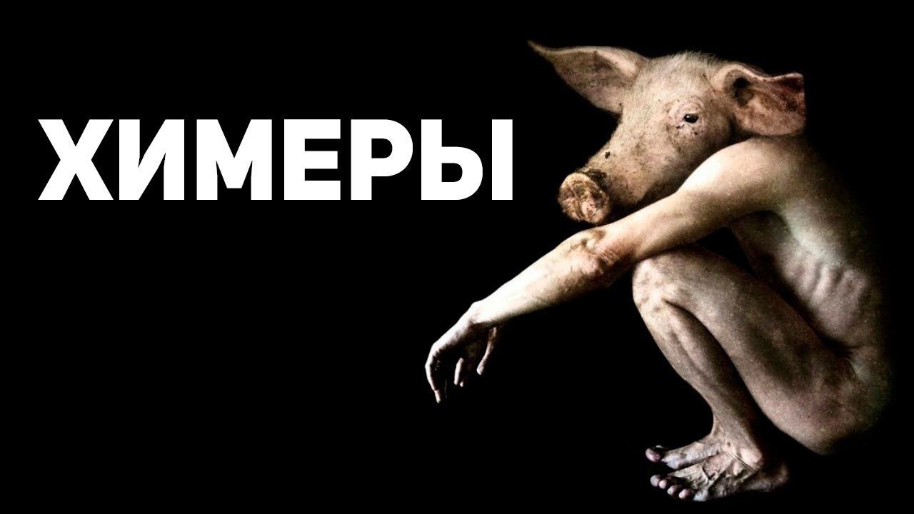 ОНИ уже СРЕДИ НАС - генномодифицированные люди стали реальностью смотреть онлайн