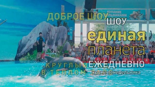 Минский дельфинарий круглый год смотреть онлайн