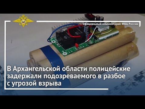 Ирина Волк: В Архангельской области полицейские задержали подозреваемого в разбое с угрозой взрыва смотреть онлайн
