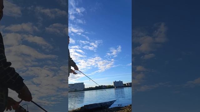 сегодня на рыбалке в Мончегорске смотреть онлайн