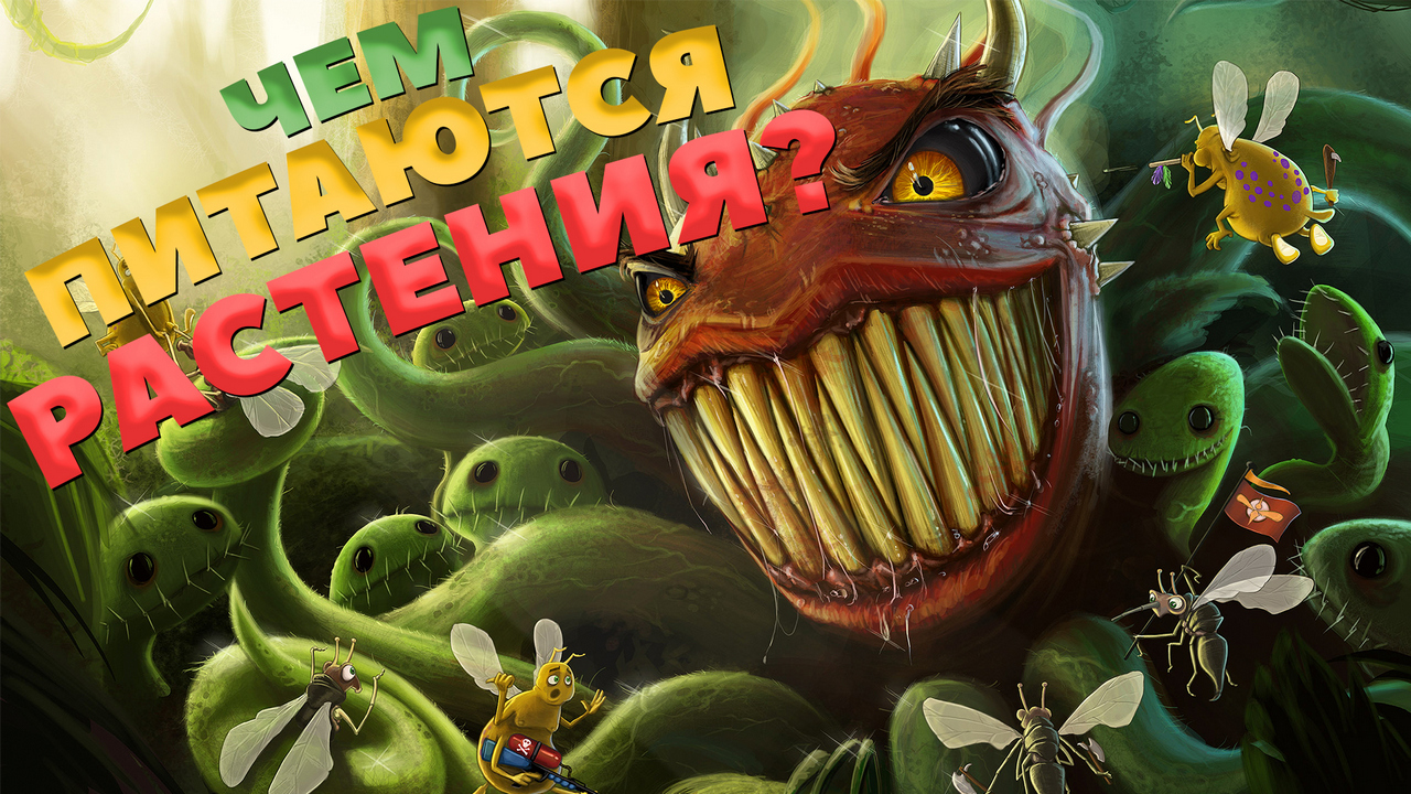 Чем питаются растения / Интересные факты о фотосинтезе и хемосинтезе, откуда взялась нефть и уголь смотреть онлайн