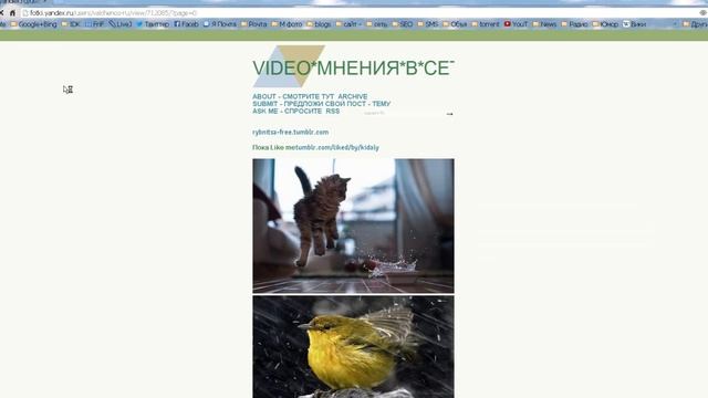 2 й урок - Привязка .TK домена к Tumblr блогу смотреть онлайн