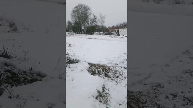 Поздравления с праздником 8 Марта смотреть онлайн