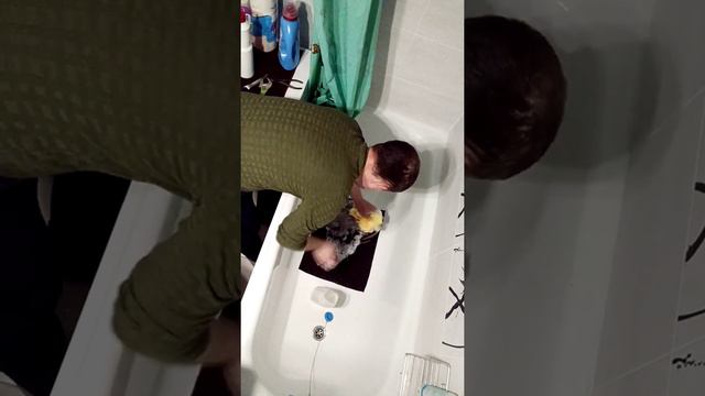 Купание shp на подоконнике смотреть онлайн