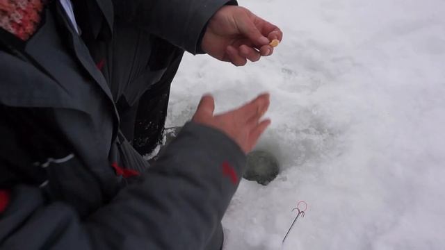 Старт турнира "Битва настоящих мужчин" СРБ ПАРУС СЕВЕР" смотреть онлайн