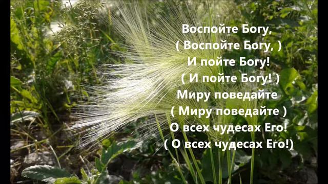 Славьте Господа! Имя Его призывайте христ фонограмма караоке смотреть онлайн