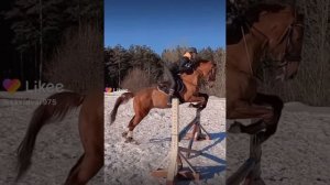 Конный спорт ?