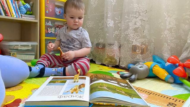 Читаем книгу с малышом. Про животных. #мамавдекрете #baby #читаемдетям #окружающиймир смотреть онлайн