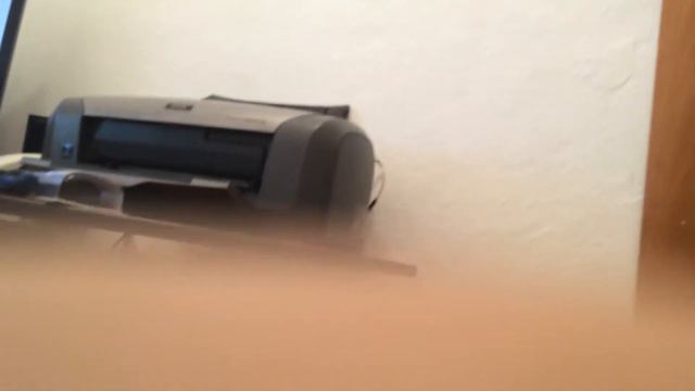 бульдожка нашел пельмень смотреть онлайн