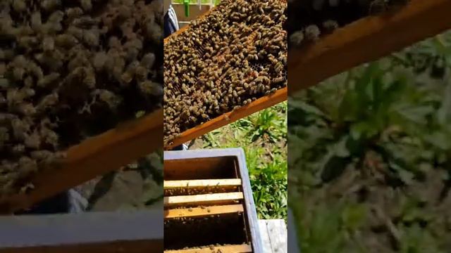 делаем отводок на втором корпусе смотреть онлайн