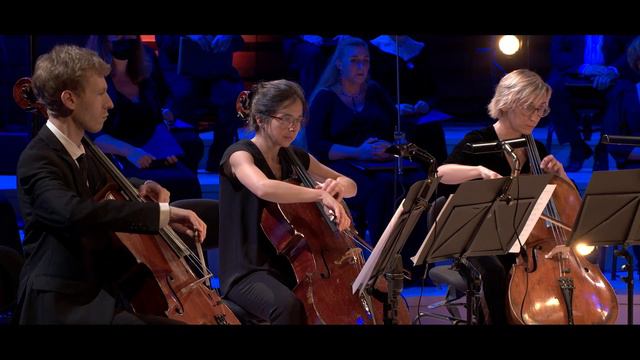 Debussy : Nocturnes (Nuages - Fêtes) pour 8 violoncelles смотреть онлайн