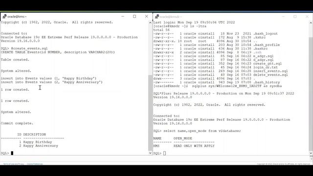 Active Data Guard DML Redirection 19c смотреть онлайн