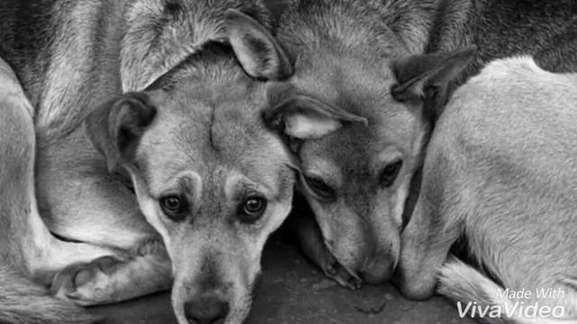 Социальный ролик смотреть онлайн