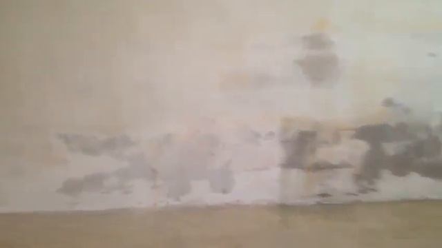 Грибные активности