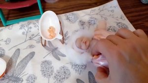 влог с мини реборном/ прогулка в новом комбинезоне