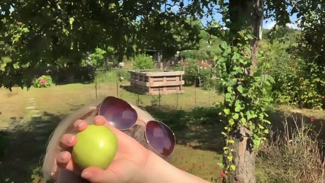 День рождения на даче/5 лет ?празднуем/ танцы и вкусняшки смотреть онлайн