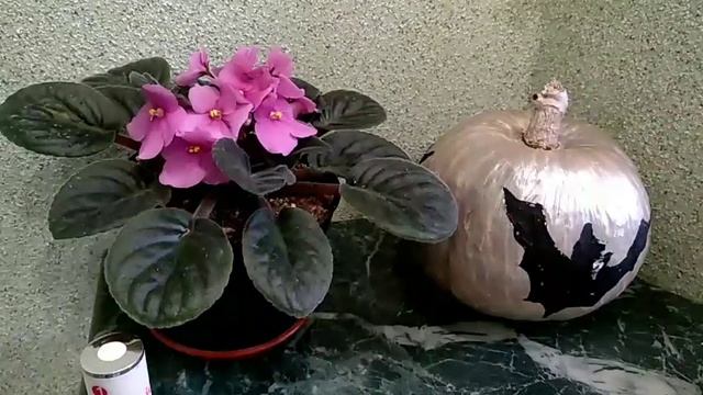 МОРОЖЕНОЕ ЗАКАЗЫВАЛИ?|Лаки для ногтей  в ОФИГИТЕЛЬНОЙ УПАКОВКИ!