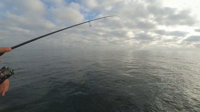 Морская рыбалка. Ловим саргана на Одесском пляже. Рыбалка на Черном море. Ловля саргана на бомбарду смотреть онлайн