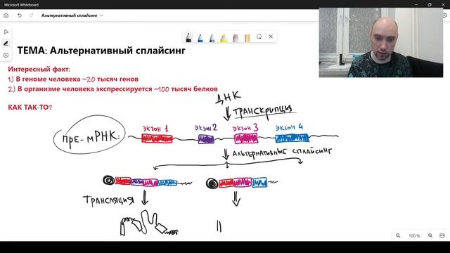Что такое альтернативный сплайсинг? Душкин объяснит смотреть онлайн