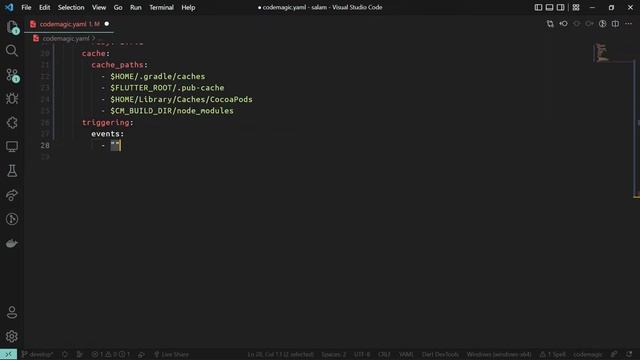 Using codemagic.yaml to configure your CI/CD workflows смотреть онлайн