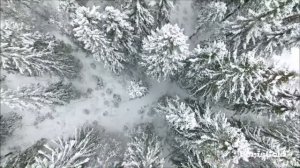 Урок Литературы Зимняя Дорога Пушкин