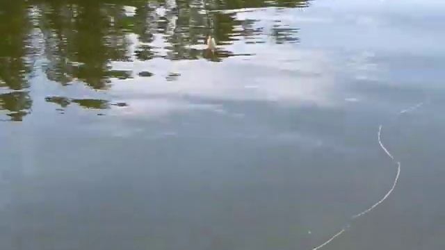 Эхолот Практик 4 про 2 лето ловля в отвес с лодки смотреть онлайн