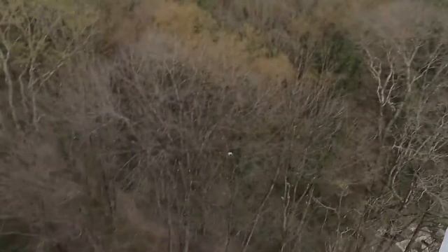 ЖК Мацеста Парк сдан.  Обзор ЖК Мацеста Парк. Квартиры в сданном доме в Мацесте.