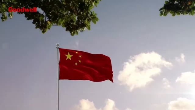 О компании Goodwell