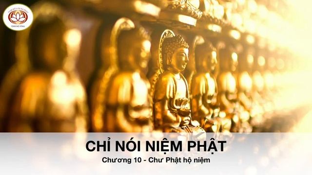 MỘT LÒNG VỮNG CHÃI NIỆM PHẬT 11 смотреть онлайн