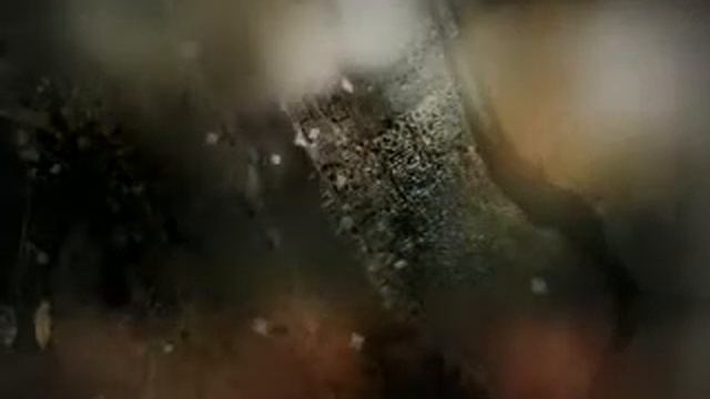 dinofelis in a cartoony style (development) смотреть онлайн