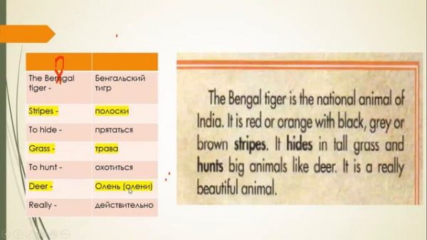 Spotlight 5, Amazing Creatures, стр.66