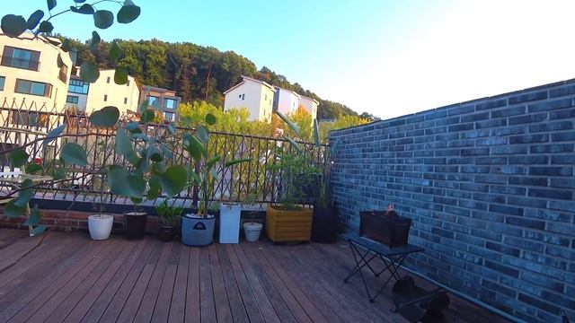 Влог про подарки, беляши, феминизм и вакцинацию в Корее)) KOREA VLOG смотреть онлайн
