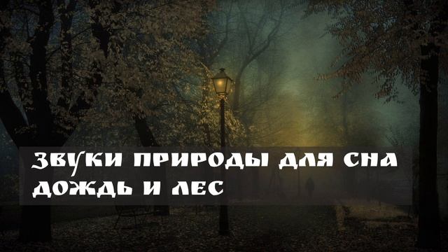 Музыка для сна. Шум дождя и леса онлайн смотреть онлайн