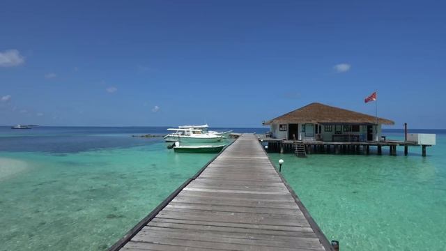 Мальдивы: лучший РИФ по доступной ЦЕНЕ. Eriyadu Island Resort****